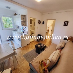 BgImmobilien Beograd | Karaburma stan Izdavanje nekretnina 38 kvadrata 10225 1b0d17d1540ac