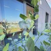 BgImmobilien Beograd | Novi Beograd stan  125 kvadrata 10375 1ee2cb96231b7