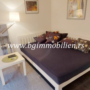 BgImmobilien Beograd | Vračar stan Izdavanje nekretnina 32 kvadrata 10388 17cbb91892b40