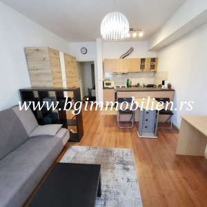 BgImmobilien Beograd | Karaburma stan Izdavanje nekretnina 30 kvadrata 10396 129718fc6a060