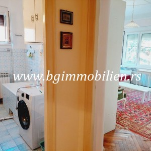 BgImmobilien Beograd | Crveni krst stan  44 kvadrata 273 1c816093ddf2b