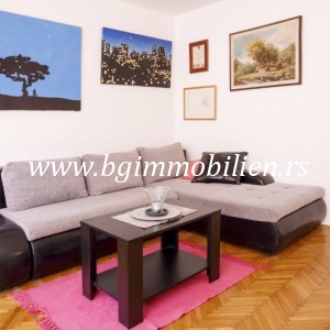 BgImmobilien Beograd | Dorćol stan Izdavanje nekretnina 39 kvadrata 3089 119b7d080013f