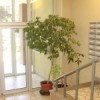 BgImmobilien Beograd | Novi Bg. - Sava Centar - Ušće stan  103 kvadrata 3407 12b8e8dfff337