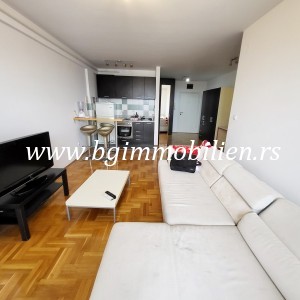 BgImmobilien Beograd | Profesorska kolonija (okolina) stan Izdavanje nekretnina 39 kvadrata 4123 1a4fa4e77c225