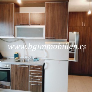 BgImmobilien Beograd | Profesorska kolonija (okolina) stan Izdavanje nekretnina 35 kvadrata 6310 1a6fcb8b7b24d