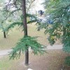 BgImmobilien Beograd | Novi Bg. - Fontana stan Izdavanje nekretnina 31 kvadrata 8007 1d8cf9768c7f8