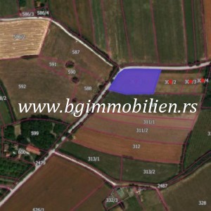 BgImmobilien Beograd | Beograd-Okolina zemljište  5000 kvadrata 9193 1b45dcf086577
