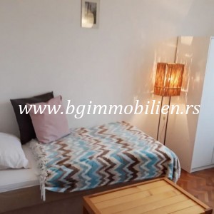 BgImmobilien Beograd | Zvezdara - Lion stan Izdavanje nekretnina 20 kvadrata 9709 1621b78188f33